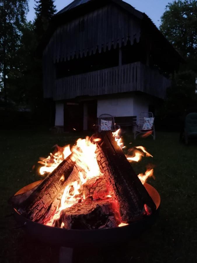 Pension Gut Trogern Bad Eisenkappel Buitenkant foto