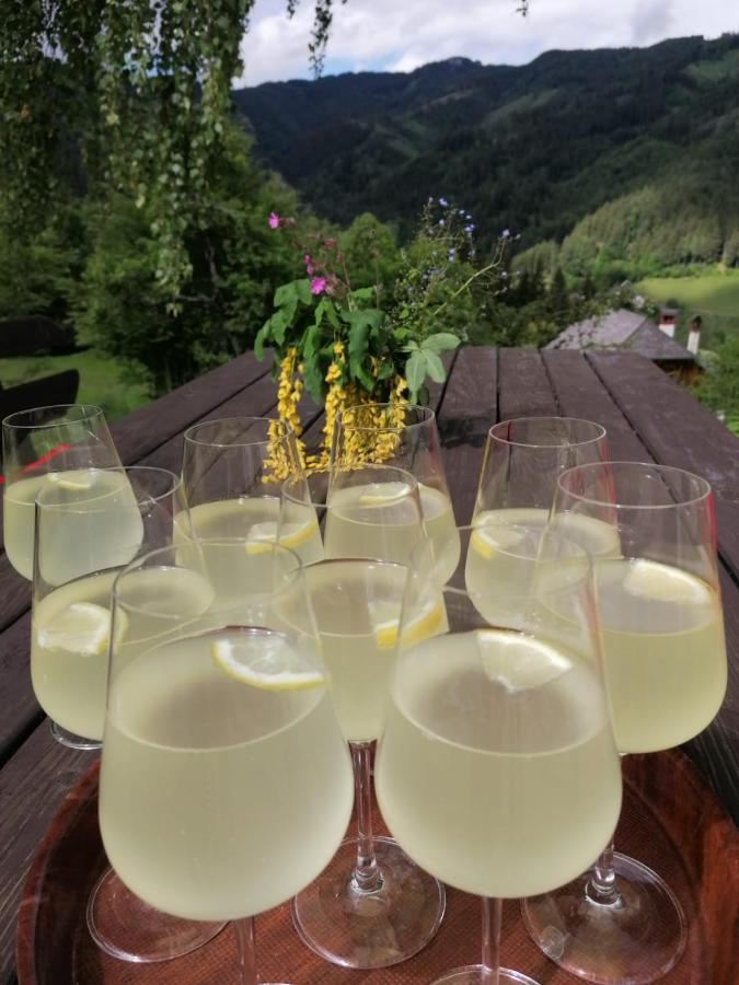 Pension Gut Trogern Bad Eisenkappel Buitenkant foto