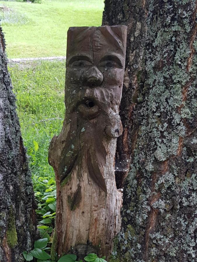 Pension Gut Trogern Bad Eisenkappel Buitenkant foto