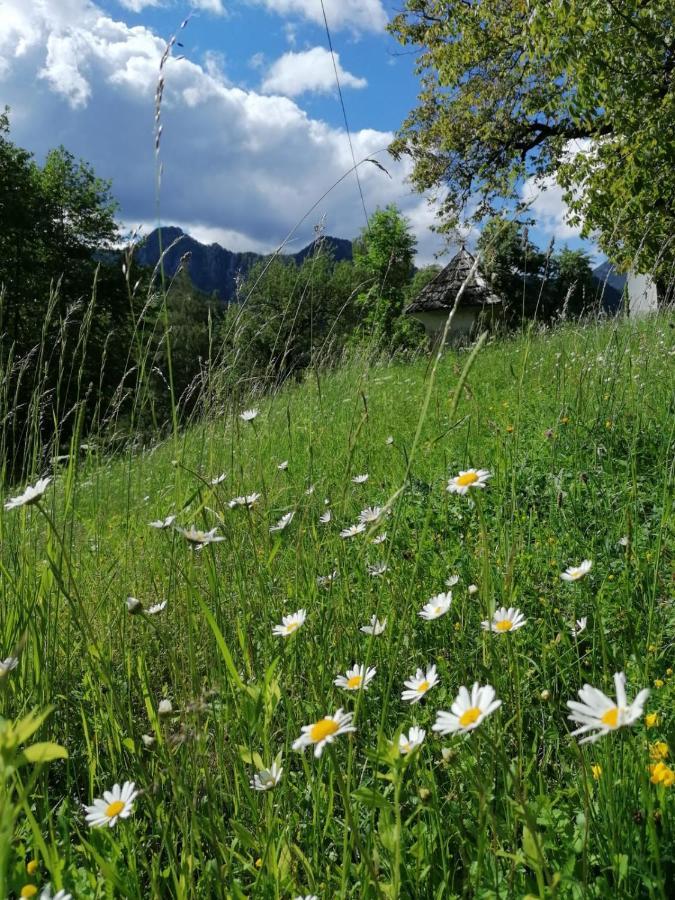 Pension Gut Trogern Bad Eisenkappel Buitenkant foto